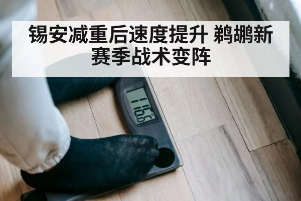 锡安减重后速度提升 鹈鹕新赛季战术变阵